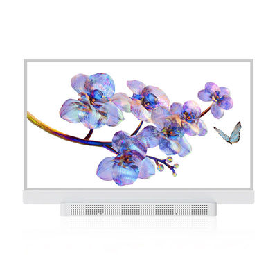 OEM ODM 투명 OLED 화면, 55 투명 OLED 디스플레이