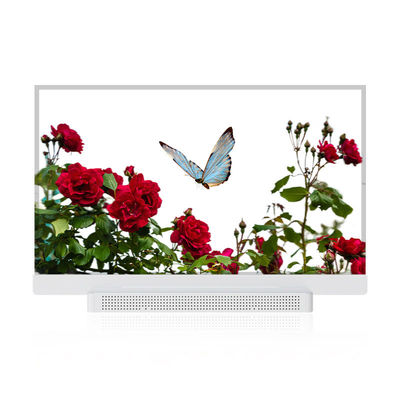 OEM ODM 투명 OLED 화면, 55 투명 OLED 디스플레이