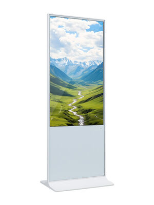 55 인치 안드로이드 OS 터치 스크린 키오스크 350nits 밝기 LCD 광고 디스플레이 디지털 사이니지